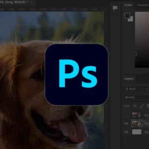 Photoshop Mastery: Beginner to Expert