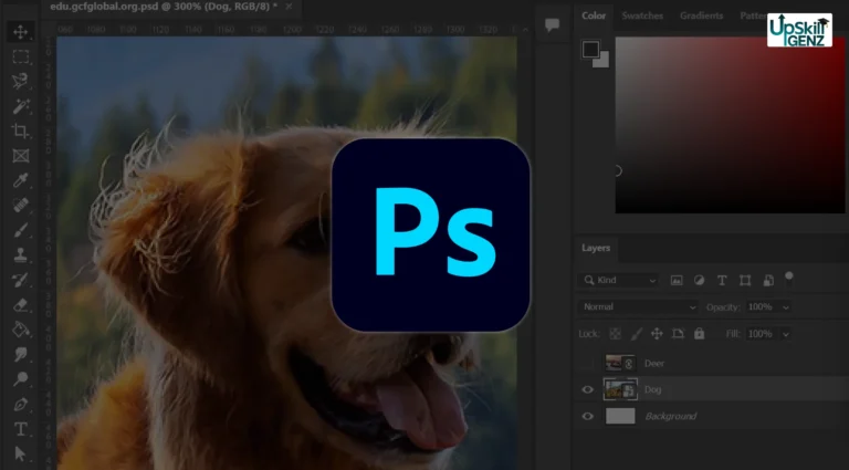 Photoshop Mastery: Beginner to Expert